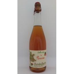 Pétillant de pomme BIO...