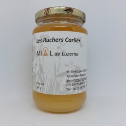 Miel - Luzerne (500g)