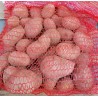 Pommes de terre - Annabelle ou Jeannette (2,5Kg)
