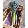 Poireau (1Kg)